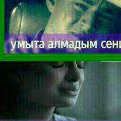 Нурсултан Ботаев