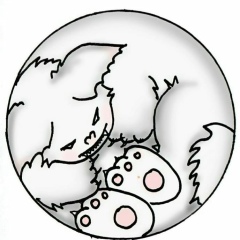 Вовка Романов, 18.10.1984, Жуков