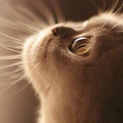 Инна Пак, 05.07.1985, Hønefoss