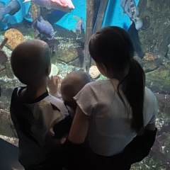 Светлана Лобастова, 12.07, Москва