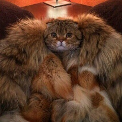 Alina Gonsalez, 27.06.1989