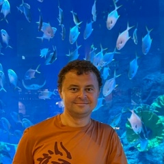 Дмитрий Пластов, 14.07, Verona