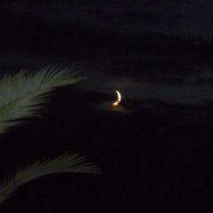 Шамхан Хусейнович, 03.01