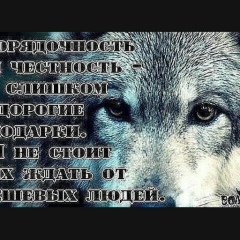 Адам Мутиев, 11.12.1988
