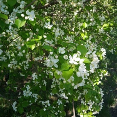 Асем Нурлан, 11.12.1975, Караганда