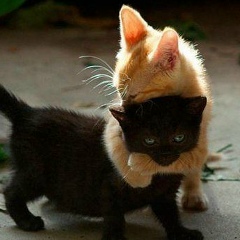 Катрин Тютевич, 11.08.1985, Котельники