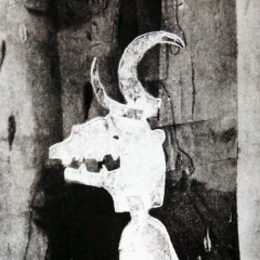 Ксения Чарыева, 09.11.1990, Москва