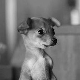 Георгий Мальцев, 30.07.1986, Санкт-Петербург