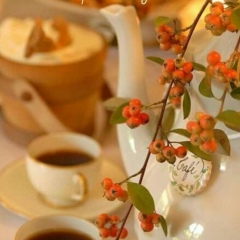 Эльвира Хицова, Тавда