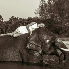 Илона Сафина, 15.01, Москва