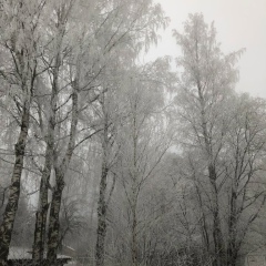 Ольга Перова, 13.03.1985, Санкт-Петербург