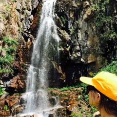 Kamarsulu Nogaeva, Алматы