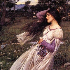 Olga Koroleva, Wellington