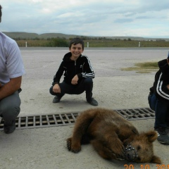 Рамин Сархатов, Москва
