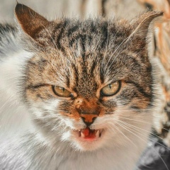 Нурлан Дускиреев, 08.03, Актобе