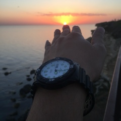 Renat Aciev, 26.01, Телави