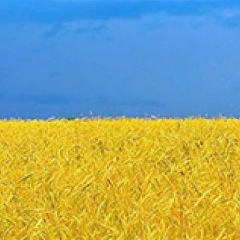 Александр Сорока, 05.05
