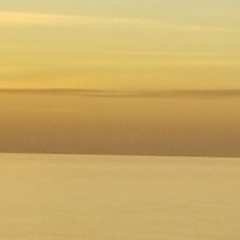 Andrey Ses, 17.01, New York City