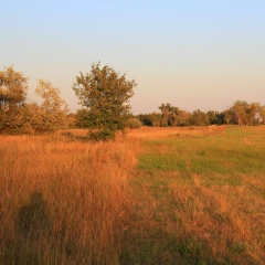 Виталий Верниенко, 28.12.1985, Днепр (Днепропетровск)