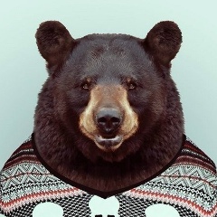 Алик Царский, 12.01, Киев