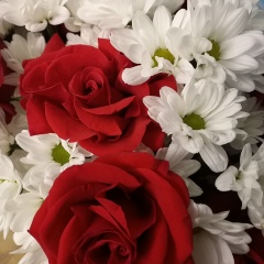 Камила Жангалиева, 20.07, Актау