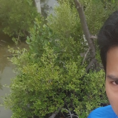 တရာ ဓမၼ, 15.04.1995