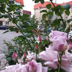 Марина Валентиновкапарк