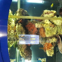 Жанат Жунусов, 22.05.1986, Кокшетау