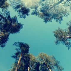 Pashka Nazar, 20.09, Себеж