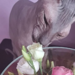 Гузаль Шайнурова, 18.03, Екатеринбург