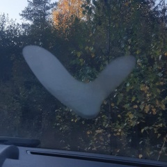 Елена Сокольникова, 19.10.1970, Санкт-Петербург