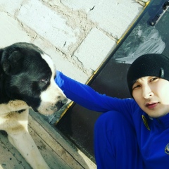 Ермек Кокше, 16.12.1985, Кокшетау