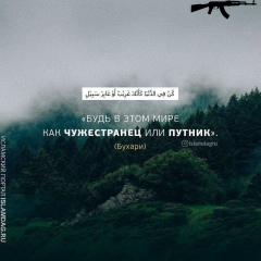 Ramzan Abuev