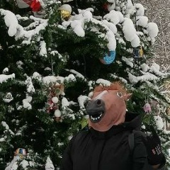 Ната Михайлова, Великий Новгород