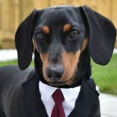 David Joxadze, 13.06.1982, Тбилиси