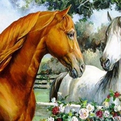 Калыбек Косак, 21.01, Атырау