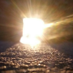 Александр Николаев