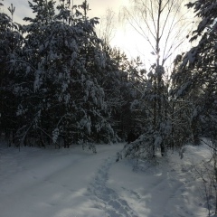 Антонио Самаранч, Гомель