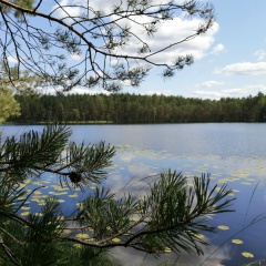 Ольга Бир, 28.07, Витебск