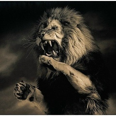 Серик Шапеков, 15.12