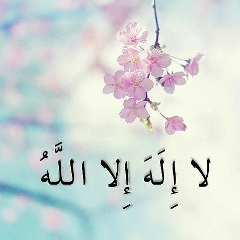 Алихан Джабраилов, 22.04, Грозный