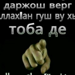 Зелимхан Амадаев, Грозный