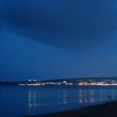 Ольга Аникеева, Горловка