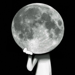 Иван Золотарский, 19.04, Химки