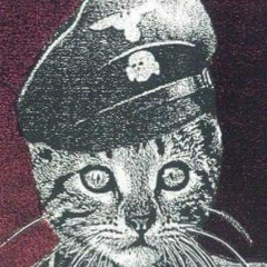 Евгений Потёмкин, 08.09.1987, Ташкент