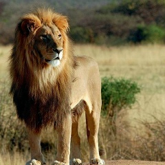 Салтанат Жакслыкова, 22.04.1989