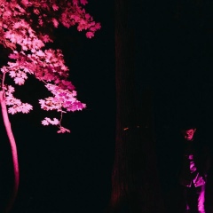 Владимир Григоров, 03.09.1993, Москва