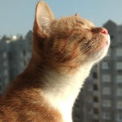 Екатерина Корнеева, 13.08.1981, Ярославль