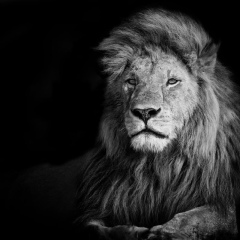 Абдыхалык Балтабаев, 02.07.1994