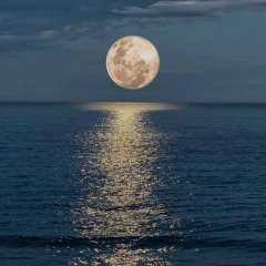 Ленар Габдулнасиров, 31.10.1988, Казань